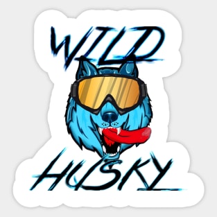 Wild husky Sticker